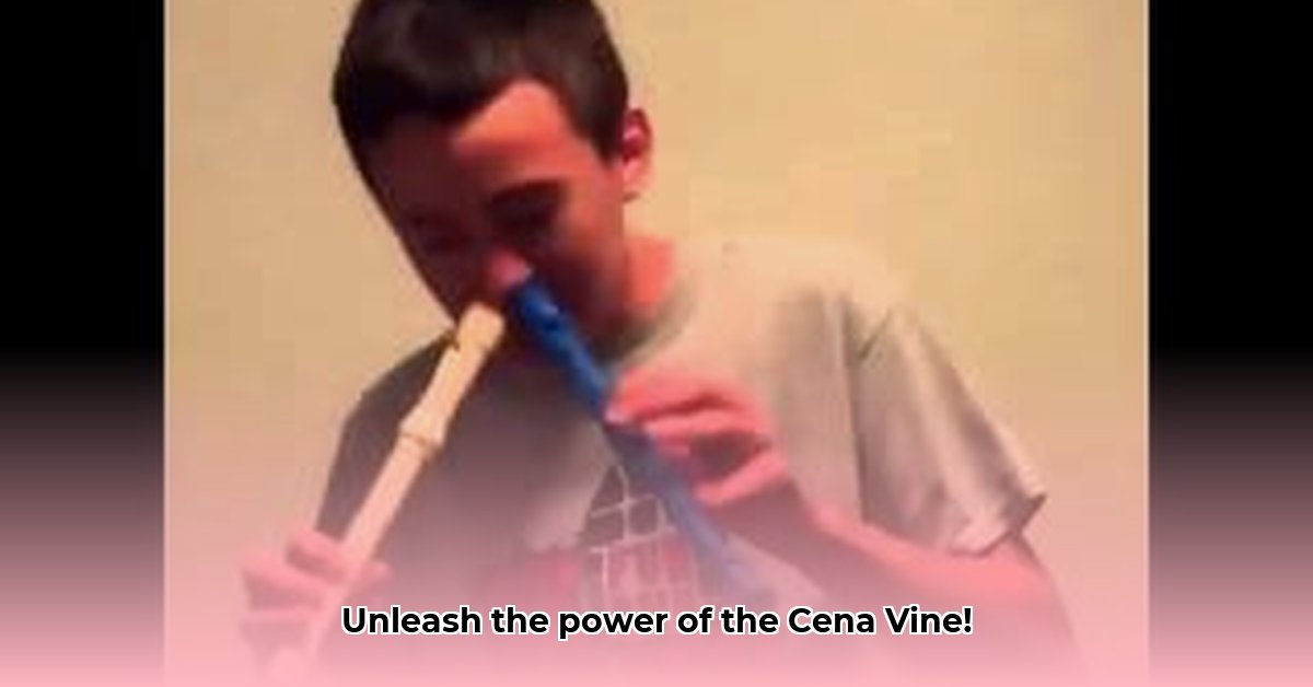 john-cena-vine